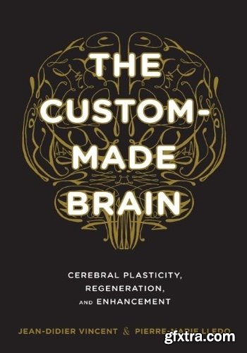 The Custom-Made Brain: Cerebral Plasticity, Regeneration, and Enhancement