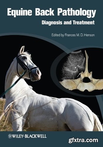 Equine Back Pathology: Diagnosis and Treatment