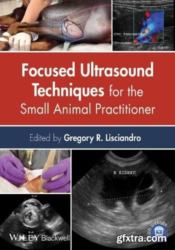 Focused Ultrasound Techniques for the Small Animal Practitioner