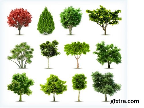 Stock Vectors - Tree 2, 25xEPS