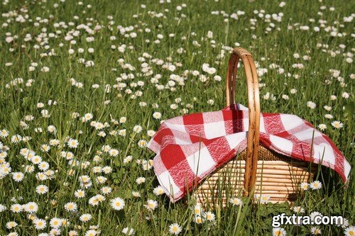 Stock Photos - Picnic, outing, family, 25xJPG