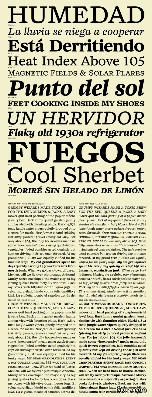 Zocalo Text Font Family - 12 Fonts for $210