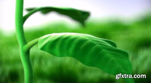 Videohive Growing Flower 6543739