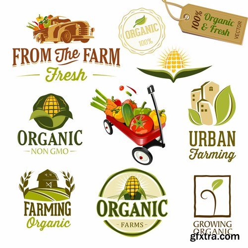 Organic Food Labels - 25 Vector