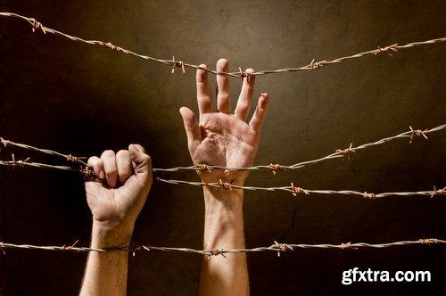 Stock Photos - Barbed wire 2, 25xJPG