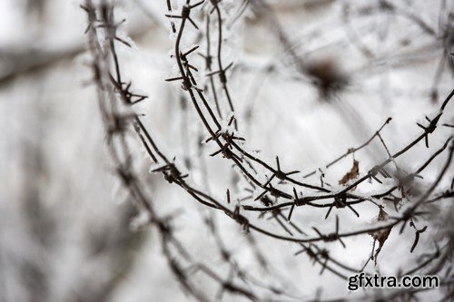 Stock Photos - Barbed wire 2, 25xJPG