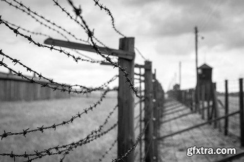 Stock Photos - Barbed wire 2, 25xJPG