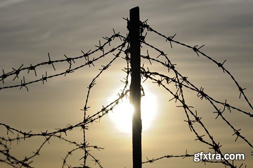 Stock Photos - Barbed wire 2, 25xJPG