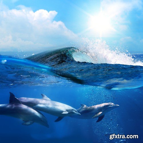 Stock Photos - Big wave of the sea 2, 25xJPG