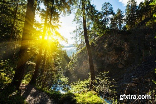 Stock Photos - Forest, 25xJPG