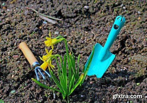 Stock Photos - Gardening, 25xJPG