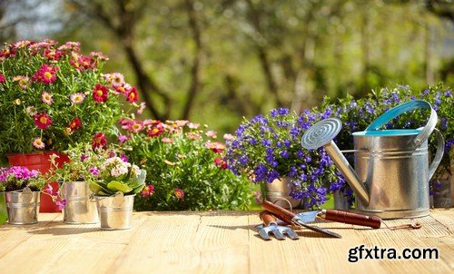 Stock Photos - Gardening, 25xJPG