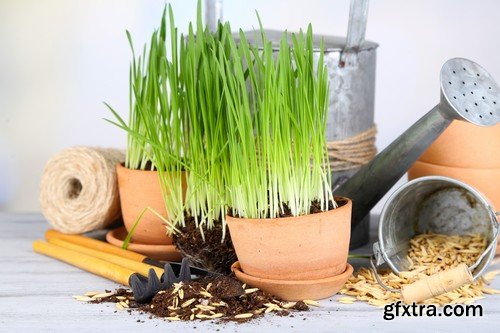 Stock Photos - Gardening, 25xJPG