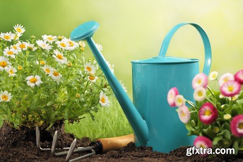 Stock Photos - Gardening, 25xJPG