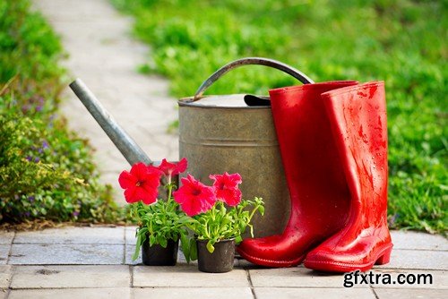 Stock Photos - Gardening, 25xJPG