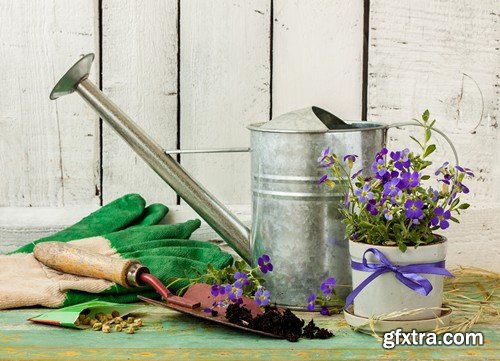 Stock Photos - Gardening, 25xJPG