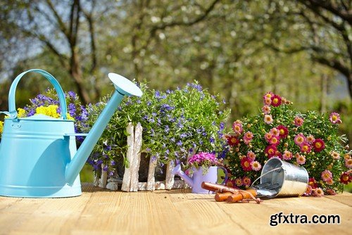 Stock Photos - Gardening, 25xJPG