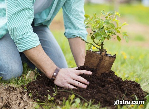 Stock Photos - Gardening, 25xJPG