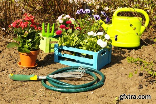 Stock Photos - Gardening, 25xJPG