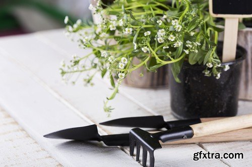 Stock Photos - Gardening, 25xJPG