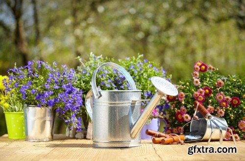 Stock Photos - Gardening, 25xJPG