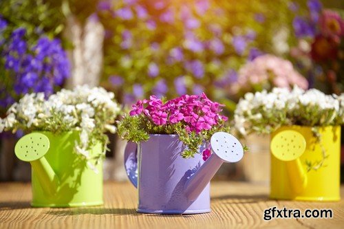 Stock Photos - Gardening, 25xJPG