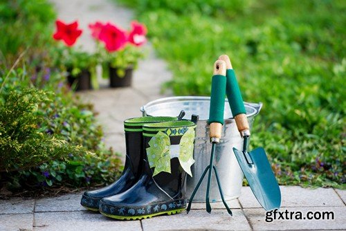 Stock Photos - Gardening, 25xJPG