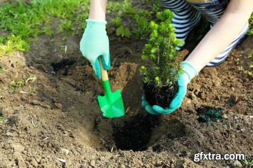 Stock Photos - Gardening, 25xJPG