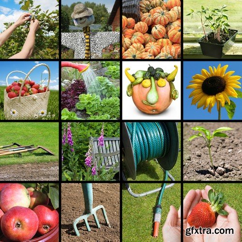 Stock Photos - Gardening, 25xJPG