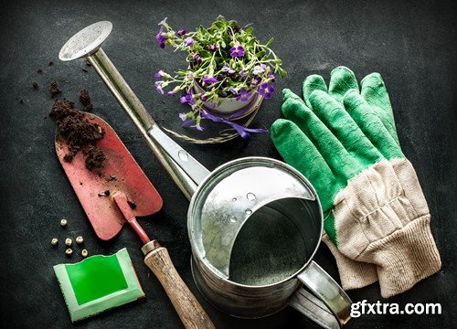 Stock Photos - Gardening, 25xJPG