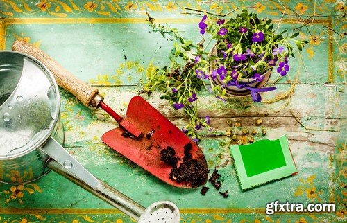 Stock Photos - Gardening, 25xJPG