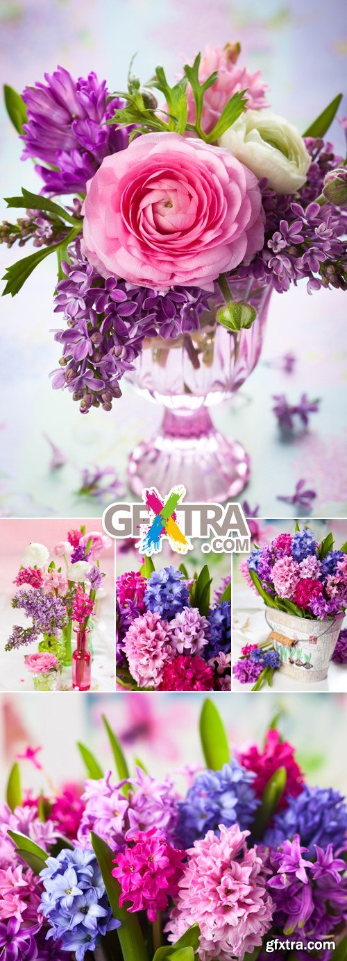 Stock Photo - Spring & Summer Color Flowers