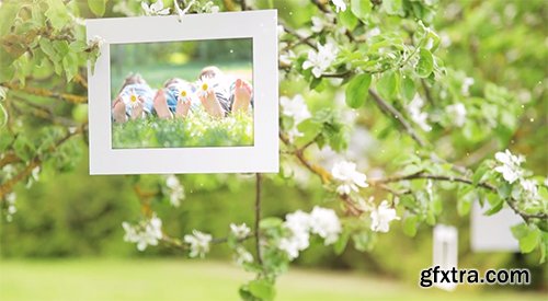 Videohive Photo Gallery Blossoms and Bees 6353451