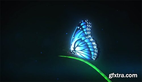 Videohive Magic Butterfly Reveal 6559492