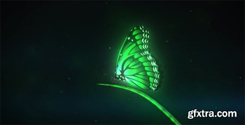 Videohive Magic Butterfly Reveal 6559492