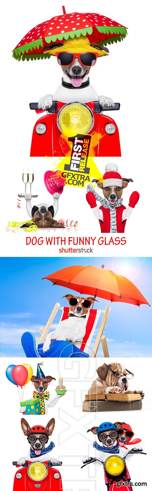 Amazing SS - Dog with funny glasses, 25xJPG