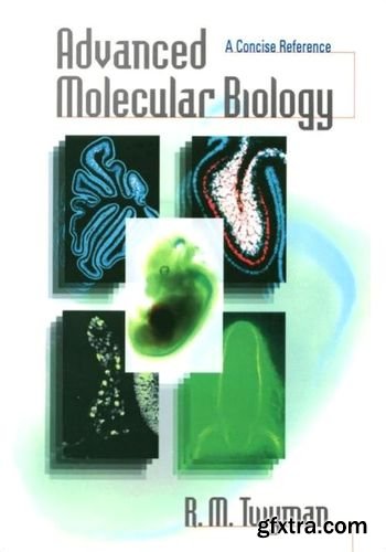 Advanced Molecular Biology: A Concise Reference