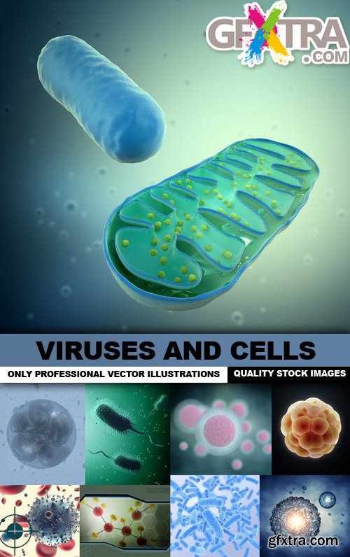 Viruses And Cells - 25 HQ Images