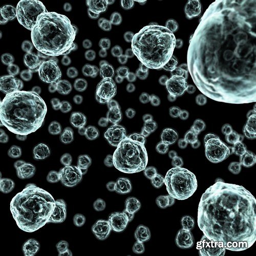 Viruses And Cells - 25 HQ Images