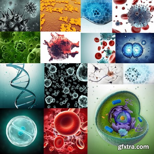 Viruses And Cells - 25 HQ Images