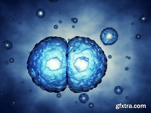 Viruses And Cells - 25 HQ Images