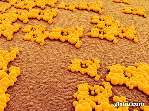 Viruses And Cells - 25 HQ Images