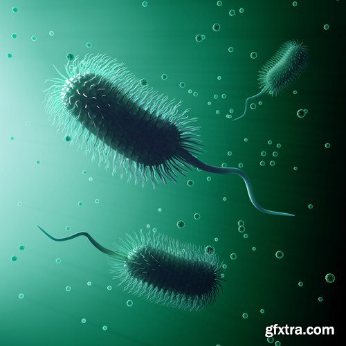 Viruses And Cells - 25 HQ Images