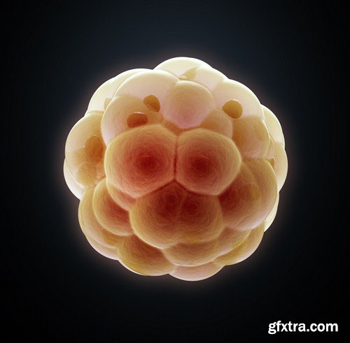 Viruses And Cells - 25 HQ Images