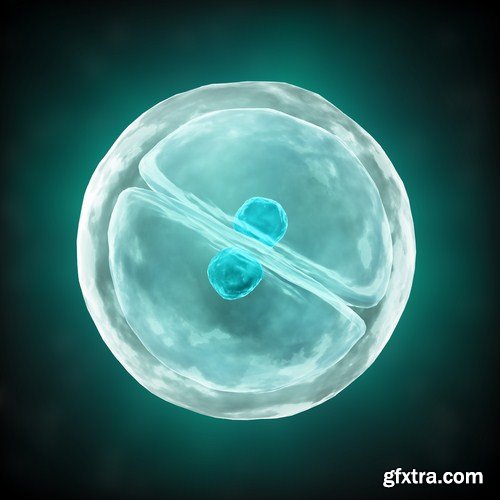 Viruses And Cells - 25 HQ Images