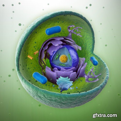 Viruses And Cells - 25 HQ Images