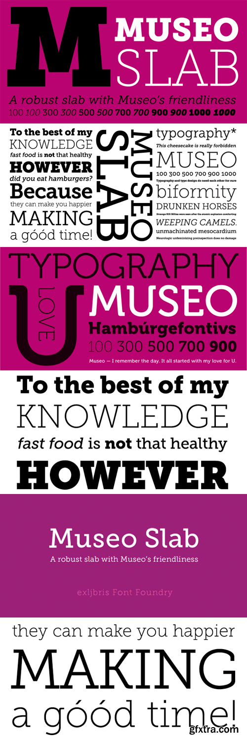 Museo Slab Font Family - 12 Fonts for $99