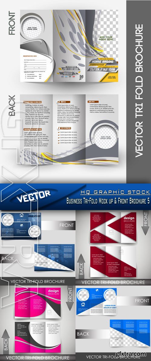 Stock Vector - Business Tri-Fold Mock up & Front Brochure 5