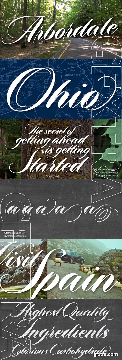 Arbordale Font Family - 2 Fonts 58$