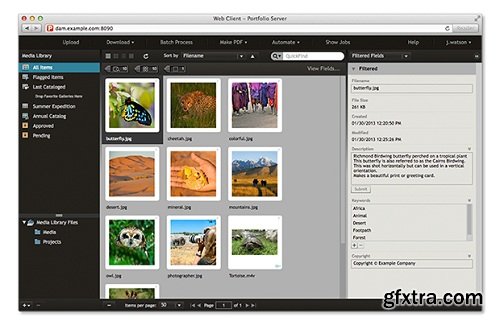 Extensis Portfolio Server 11.2.1 Studio Edition